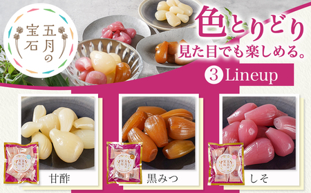 霧島らっきょう6種・五月の宝石3種セット_14-C802_(都城市) 宮崎県産 霧島らっきょう 九州産 らっきょう甘酢漬 しそ 甘酢 柚子 ピリ辛 日向夏 塩 甘酢 黒みつ 80g 老舗らっきょう屋