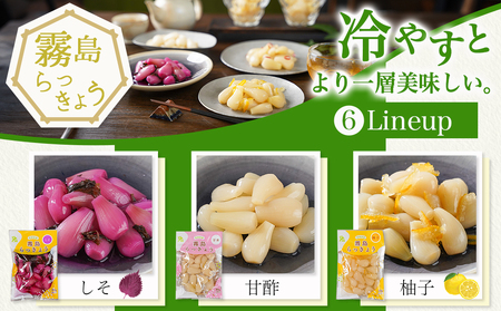 霧島らっきょう6種・五月の宝石3種セット_14-C802_(都城市) 宮崎県産 霧島らっきょう 九州産 らっきょう甘酢漬 しそ 甘酢 柚子 ピリ辛 日向夏 塩 甘酢 黒みつ 80g 老舗らっきょう屋