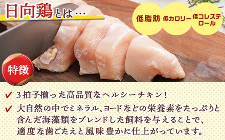 【業務用】日向鶏 若鶏ムネ肉6kg_MJ-1563_(都城市) ムネ肉 6kg 宮崎県産 日向鶏若鶏 大容量 冷凍 唐揚げ チキン南蛮