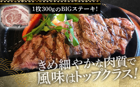 宮崎牛リブロースステーキ300g×2枚_17-2502_(都城市) 都城産 宮崎牛 牛肉 リブロース ステーキ 霜降り 塩こしょう ステーキソース付 300g×2枚 600g