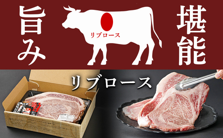 宮崎牛リブロースステーキ300g×2枚_17-2502_(都城市) 都城産 宮崎牛 牛肉 リブロース ステーキ 霜降り 塩こしょう ステーキソース付 300g×2枚 600g