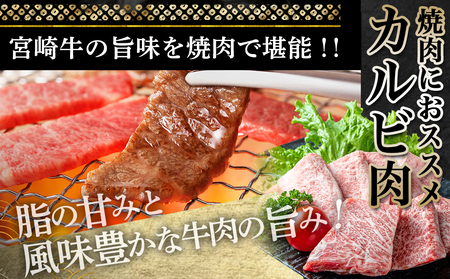 宮崎牛カルビ焼肉用600g_16-2501_(都城市) 都城産宮崎牛 カルビ肉 食べきりサイズ 真空パック 霜降り 焼肉 脂の甘さ 牛肉の旨味