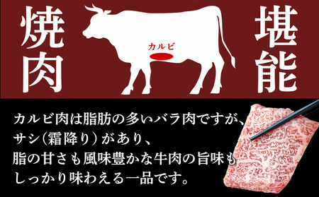 宮崎牛カルビ焼肉用600g_16-2501_(都城市) 都城産宮崎牛 カルビ肉 食べきりサイズ 真空パック 霜降り 焼肉 脂の甘さ 牛肉の旨味