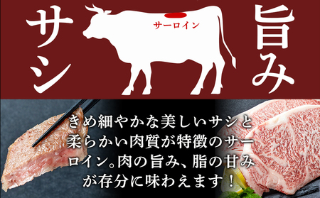 宮崎牛サーロインステーキ200g×2_18-2501_(都城市) 都城産宮崎牛 サーロインステーキ 200g×2枚 塩コショー・ステーキソース付き