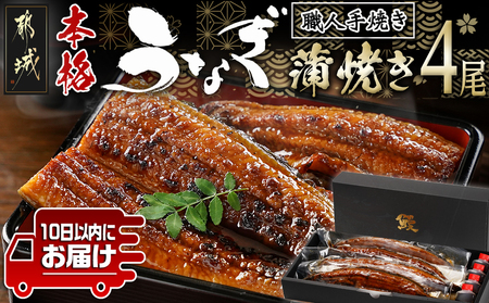 職人手焼きの本格うなぎ蒲焼き4尾≪みやこんじょ特急便≫_AD-3301-Q_(都城市) 国産 本格 うなぎ 鰻 蒲焼