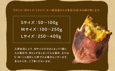 先行受付!【11月より3回お届け!】都城産 長期熟成紅はるか 5kg 定期便_TAA3-I201-11_(都城市) 都城産 さつまいも 熟成紅はるか 秀品 5kg サイズ未選別 S～L 