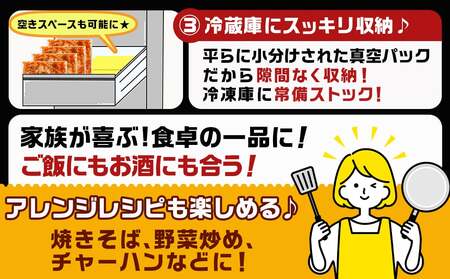 【お歳暮】やみつき豚ホルモン!3kg!真空小分けパック!_AA-3307-WG_(都城市) 国産豚 ホルモン 味付き 300g×10P 3kg 小分け 真空パック