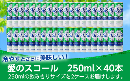 【お歳暮】『愛』を込めて・・・愛のスコール250ml×40本(2ケース)_12-2301-WG_(都城市) 炭酸飲料 スコール 250ml 20本 2ケース