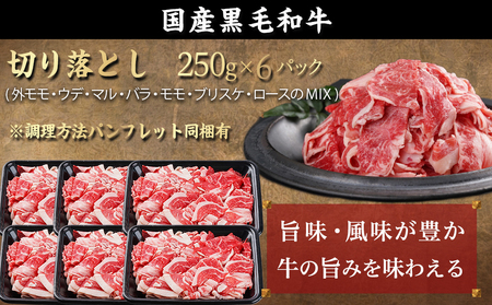 【福袋★2025】【黒毛和牛】切り落とし1.5kg(250g×6パック)_MJ-I903-F2025_(都城市) 牛肉 国産黒毛和牛 外モモ ウデ マル バラ モモ ブリスケ 切り落とし 250g×6パック 小分けパック