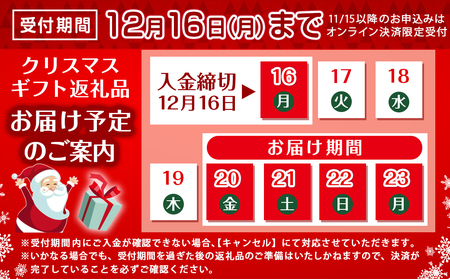 【☆クリスマス☆】☆クリスマスチキン☆九州産ひな鶏スモークチキン1羽≪12月20日～23日お届け≫_LG-9203-OJX