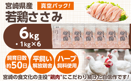 宮崎県産若鶏 ささみ(6kg)_13-G301_(都城市) 若鶏 鶏肉 真空 ささみ 宮崎県 平飼い ハーブ ふっくら ジューシー サラダ メイン