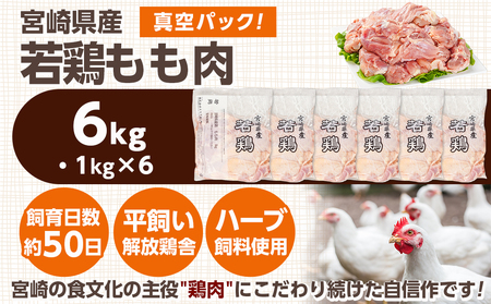 宮崎県産若鶏 もも肉(6kg)_16-G301_(都城市) 鶏肉 モモ 真空 平飼い ハーブ ふっくら ジューシー たっぷり ストック 唐揚げ 親子丼 冷凍 便利 保水性 やわらか