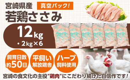 宮崎県産若鶏 ささみ(12kg)_24-G301_(都城市) 若鶏 鶏肉 真空 ささみ 宮崎県 平飼い ハーブ ふっくら ジューシー 歯ごたえ たっぷり 大容量 冷凍 便利 保水性 やわらか ふっくら ジューシー