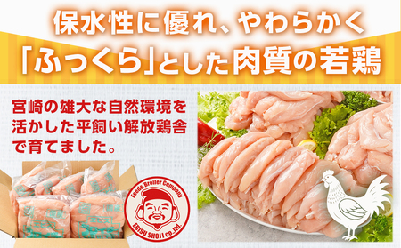 宮崎県産若鶏 ささみ(12kg)_24-G301_(都城市) 若鶏 鶏肉 真空 ささみ 宮崎県 平飼い ハーブ ふっくら ジューシー 歯ごたえ たっぷり 大容量 冷凍 便利 保水性 やわらか ふっくら ジューシー