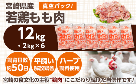 宮崎県産若鶏 もも肉(12kg)_29-G301_(都城市) 若鶏 鶏肉 真空 もも肉 宮崎県 平飼い ハーブ ふっくら ジューシー ストック 大容量 たっぷり 唐揚げ 親子丼