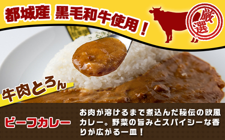 カレー倶楽部ルウ☆チキン南蛮カレー5食セット_AA-2710_(都城市) ビーフカレー(180g×5パック) チキン南蛮(130g×5パック) チルド食品 湯せん キャンプ/BBQ
