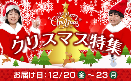 【☆クリスマス☆】九州産ひな鶏スモークチキン＆ローストレッグセット≪12月20日～23日お届け≫_11-1501-OJX_(都城市) 九州産 ひな鶏 スモーク スモークの薫り ローストレッグ セット