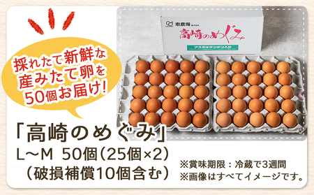 【年内お届け】アスタキサンチン入り赤卵「高崎のめぐみ」50個≪2024年12月20日～31日お届け≫ _AA-6801-HNY_(都城市) 赤卵(50個 L～Mサイズ) 採れたて 新鮮たまご 卵かけご飯　お菓子作り 玉子料理 美容 健康 アスタキサンチン入り