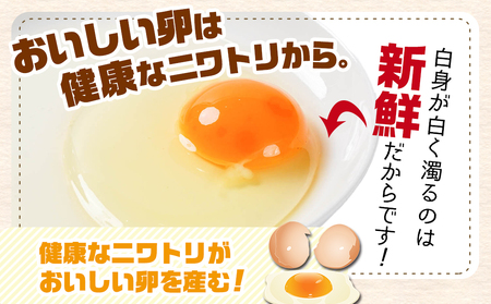 【年内お届け】アスタキサンチン入り赤卵「高崎のめぐみ」50個≪2024年12月20日～31日お届け≫ _AA-6801-HNY_(都城市) 赤卵(50個 L～Mサイズ) 採れたて 新鮮たまご 卵かけご飯　お菓子作り 玉子料理 美容 健康 アスタキサンチン入り