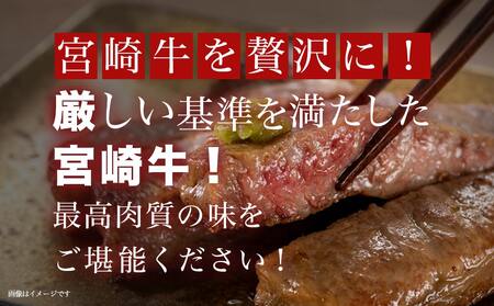 【年内お届け】宮崎牛サーロインステーキ200g×5枚≪2024年12月20日～31日お届け≫_AE-8904-HNY_(都城市) 牛 サーロインステーキ 計1キロ ステーキ カット肉