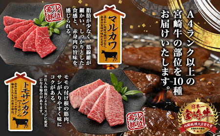 宮崎牛食べ比べ10種盛り焼肉セット_17-3102_(都城市) 都城産 宮崎牛 A4ランク 焼肉 セット 内モモ カタ トンビ ランプ ラムシン マルシン カメノコ イチボ マルカワ ミスジorトモサンカク 10種類 贈答用