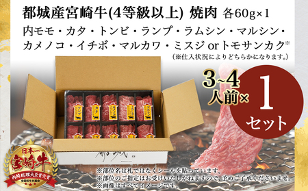 宮崎牛食べ比べ10種盛り焼肉セット_17-3102_(都城市) 都城産 宮崎牛 A4ランク 焼肉 セット 内モモ カタ トンビ ランプ ラムシン マルシン カメノコ イチボ マルカワ ミスジorトモサンカク 10種類 贈答用