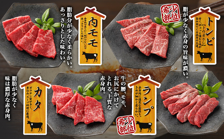 宮崎牛食べ比べ10種盛り焼肉セット(各600g×2P)_34-3103_(都城市) 都城産 宮崎牛 A4ランク 焼肉 セット 内モモ カタ トンビ ランプ ラムシン マルシン カメノコ イチボ マルカワ ミスジorトモサンカク 10種類 贈答用