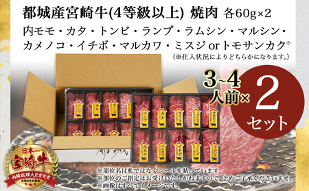 宮崎牛食べ比べ10種盛り焼肉セット(各600g×2P)_34-3103_(都城市) 都城産 宮崎牛 A4ランク 焼肉 セット 内モモ カタ トンビ ランプ ラムシン マルシン カメノコ イチボ マルカワ ミスジorトモサンカク 10種類 贈答用