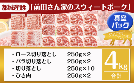 「前田さん家のスウィートポーク」肉肉肉4kgセット(真空)_AC-8920-s_(都城市) 豚 ブランド豚 ロース バラ 切り落とし ひき肉 セット 4kg 真空パック