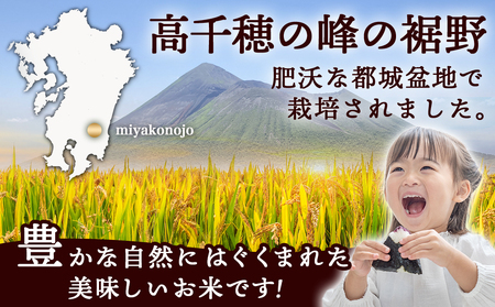 ★10月発送 都城産ひのひかり5kg(5kg×1袋) ≪令和6年産新米≫_12-1503_(都城市) 令和6年産 新米 都城産 お米 5kg ひのひかり