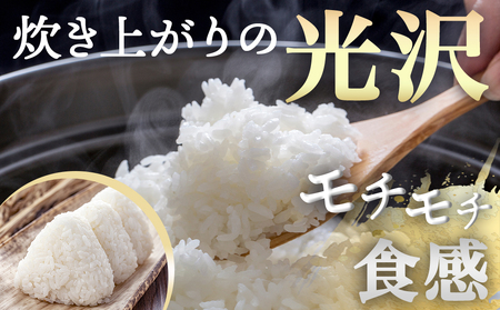 ★10月発送 都城産ひのひかり5kg(5kg×1袋) ≪令和6年産新米≫_12-1503_(都城市) 令和6年産 新米 都城産 お米 5kg ひのひかり