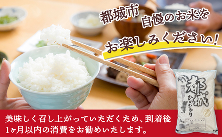 ★10月発送 都城産ひのひかり5kg(5kg×1袋) ≪令和6年産新米≫_12-1503_(都城市) 令和6年産 新米 都城産 お米 5kg ひのひかり