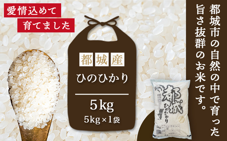 ★10月発送 都城産ひのひかり5kg(5kg×1袋) ≪令和6年産新米≫_12-1503_(都城市) 令和6年産 新米 都城産 お米 5kg ひのひかり