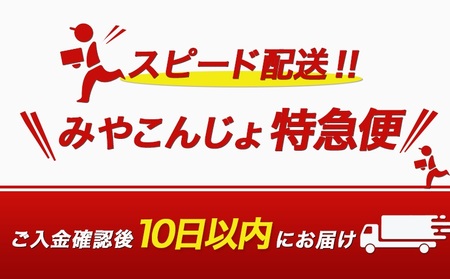 【霧島酒造】赤霧島パック(25度)900ml×4本 ≪みやこんじょ特急便≫_16-0725_(都城市) 本格芋焼酎 定番焼酎 お酒 5合パック 紙パック ロック 水割り 炭酸割り果汁割り 霧島酒造 ストック 家飲み 晩酌