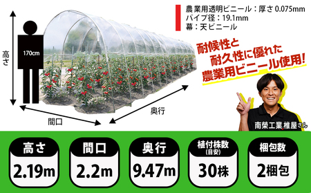 雨よけハウス【2畝用】〈AM-2294〉_DI-J401_(都城市) 雨よけハウス 敏感 夏物野菜を守る 収穫を確保 夏野菜 組立簡単 完全組立式 障害や病気対策 30株 2畝用
