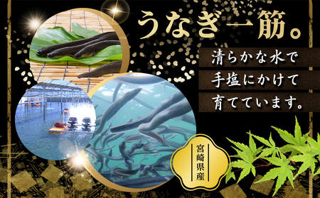 宮崎県育ちのうなぎ蒲焼4尾720g以上≪山椒・たれ付≫_AE-M301_(都城市) うなぎ蒲焼(有頭) 宮崎県産 真空 山椒・たれ付