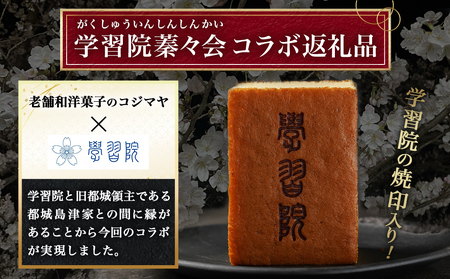 学習院蓁々会コラボ☆カステラセット(1斤分)_AA-7610_(都城市) 都城産鶏卵使用 0.5斤×2 スイーツ デザート 厳選米飴使用 焼き菓子 お土産 贈答用 ギフト 学習院 蓁々会