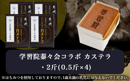学習院蓁々会コラボ☆カステラセット(2斤分)_16-7601_(都城市) 都城産鶏卵使用 0.5斤×4 スイーツ デザート 厳選米飴使用 焼き菓子 お土産 贈答用 ギフト 学習院 蓁々会