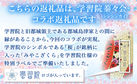学習院蓁々会コラボ☆みやこざくら(20度)720ml×2本セット ≪みやこんじょ特急便≫_18-1801_(都城市) みやこざくら 20度 720ml 大浦酒造 学習院 蓁々会 コラボ