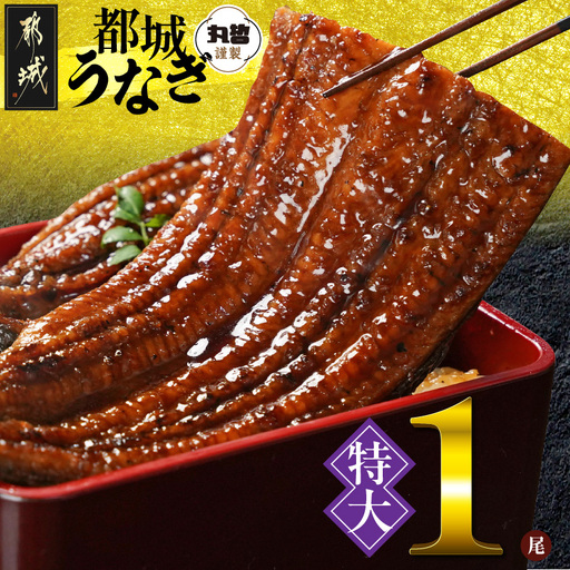 宮崎県育ちの【特大】うなぎ蒲焼1尾210g以上≪山椒・たれ付≫_11-M301_(都城市)  特大うなぎ蒲焼(有頭) 宮崎県産 真空 山椒・たれ付