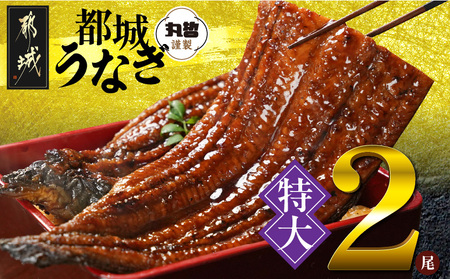 宮崎県育ちの【特大】うなぎ蒲焼2尾440g以上≪山椒・たれ付≫_18-M301_(都城市)  特大うなぎ蒲焼(有頭) 宮崎県産 真空 山椒・たれ付