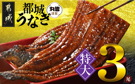 宮崎県育ちの【特大】うなぎ蒲焼3尾680g以上≪山椒・たれ付≫_24-M301_(都城市)  特大うなぎ蒲焼(有頭) 宮崎県産 真空 山椒・たれ付