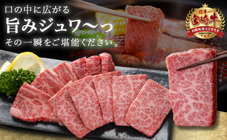 宮崎牛肩ロース焼肉用500g_MJ-N302_(都城市) 宮崎牛 肩ロース 焼き肉 500g