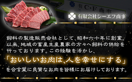 宮崎牛肩ロース焼肉用500g_MJ-N302_(都城市) 宮崎牛 肩ロース 焼き肉 500g