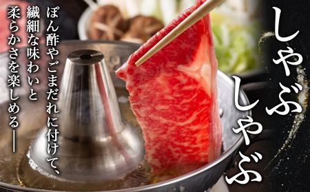 宮崎牛ローススライス 350g×2P_16-2604_(都城市) A44等級 国産ブランド牛 宮崎牛 ロース スライス 350g×2 700g