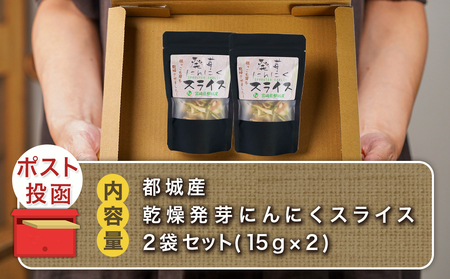 乾燥発芽にんにく【スライス】2袋セット※ポスト投函_LA-C903_(都城市) 発芽 にんにく 乾燥 栄養価の高い ニンニクスライス
