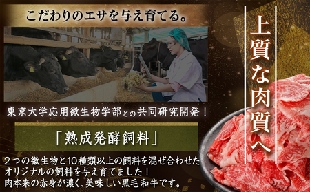 新光星牧場☆黒毛和牛こま切れ1kg?14-M901_(都城市) 都城産 黒毛和牛 小間切れ  500g×2P