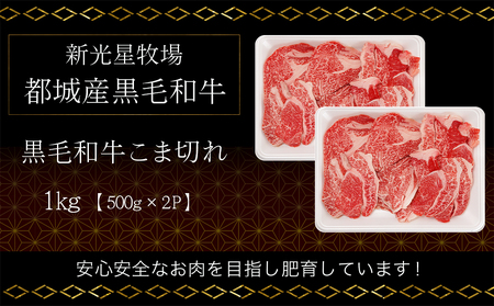 新光星牧場☆黒毛和牛こま切れ1kg?14-M901_(都城市) 都城産 黒毛和牛 小間切れ  500g×2P