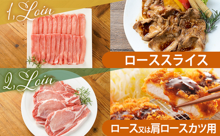 宮崎県産豚肉3kgセット_MJ-M601_(都城市) 宮崎県産豚肉 ローススライス ロース又は肩ロースカツ用 バラ焼肉用 切り落とし ミンチ