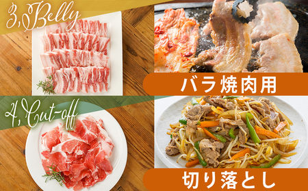 宮崎県産豚肉3kgセット_MJ-M601_(都城市) 宮崎県産豚肉 ローススライス ロース又は肩ロースカツ用 バラ焼肉用 切り落とし ミンチ